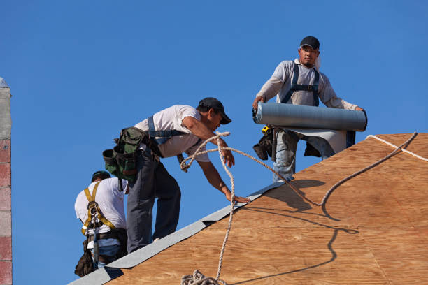 Best Gutter Installation and Roofing  in Shrub Oak, NY